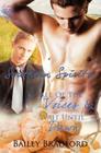 Southern Spirits: Vol 2 By Bailey Bradford Cover Image