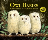 Owl Babies Cover Image