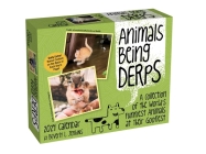 Animals Being Derps 2024 Day-to-Day Calendar By Beverly L. Jenkins Cover Image