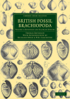 British Fossil Brachiopoda Cover Image