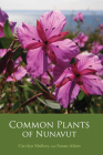 Common Plants of Nunavut By Susan Aiken, Carolyn Mallory Cover Image