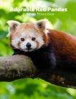 Adorable Red Panda Full-Color Picture Book: Panda Picture Book for Children, Seniors and Alzheimer's Patients -Nature Animals By Fabulous Book Press Cover Image