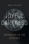 Joyful Darkness: Entangled in the Invisible By Doug Cleveland Cover Image