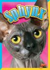 Sphynx (Cat Stats) By Nicki Clausen-Grace Cover Image