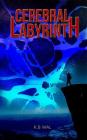 Cerebral Labyrinth By K. B. Wal Cover Image
