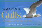 Amazing Gulls: Acrobats of the Sky and Sea By Marlin Bree Cover Image