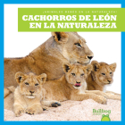 Cachorros de León En La Naturaleza (Lion Cubs in the Wild) By Marie Brandle Cover Image