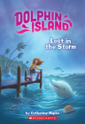 Lost in the Storm (Dolphin Island #2) By Catherine Hapka, Petur Antonsson (Illustrator) Cover Image
