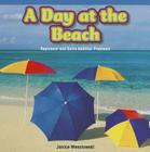 A Day at the Beach: Represent and Solve Addition Problems (Rosen Math Readers) Cover Image