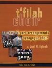 T'Filah Choir: Easy 2-Part Arrangements for Synagogue Choir By Joel Eglash (Other) Cover Image