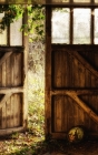 Notebook: Barn Doors Old Vintage Wooden Shed Cover Image