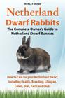 Netherland Dwarf Rabbits, The Complete Owner's Guide to Netherland Dwarf Bunnies, How to Care for your Netherland Dwarf, including Health, Breeding, L By Ann L. Fletcher Cover Image