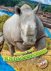 Rhinoceroses (Animals at Risk) By Rachel Grack Cover Image