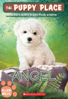 Angel (The Puppy Place #46) By Ellen Miles Cover Image