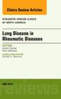 Lung Disease in Rheumatic Diseases, an Issue of Rheumatic Disease Clinics: Volume 41-2 (Clinics: Internal Medicine #41) Cover Image