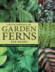 Encyclopedia of Garden Ferns By Sue Olsen Cover Image