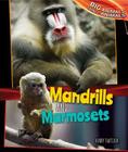 Mandrills and Marmosets (Big Animals) By Henry Thatcher Cover Image