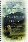 A Valley in Italy By Lisa St. Aubin de Teran Cover Image