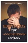 How to Pray the Annunciation Novena Cover Image