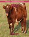 Bull: Fun Facts and Amazing Photos By Jeanne Sorey Cover Image