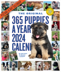 365 Puppies-A-Year Picture-A-Day Wall Calendar 2024: Absolutely Spilling Over With Puppies By Workman Calendars Cover Image