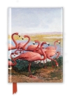 Gerritt Vandersyde: Flamingoes (Foiled Journal) (Flame Tree Notebooks) By Flame Tree Studio (Created by) Cover Image