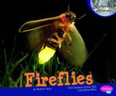 Fireflies (Nocturnal Animals) By Mary R. Dunn Cover Image
