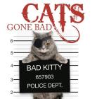 Cats Gone Bad By Amber Books (Editor) Cover Image