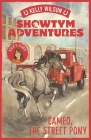 Cameo, The Street Pony (Showtym Adventures #2) By Kelly Wilson Cover Image