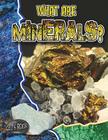 What Are Minerals? By Natalie Hyde Cover Image
