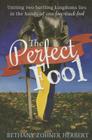 Perfect Fool By Bethany Zohner Herbert Cover Image