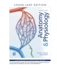 Anatomy & Physiology By Elaine Marieb, Katja Hoehn Cover Image