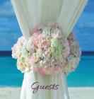 Wedding Guest Book (HARDCOVER), Ideal for Beach Ceremonies, Special Events & Functions, Commemorations, Anniversaries, Parties: BLANK Pages - no lines Cover Image
