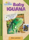 Baby Iguana By Ellen Lawrence, Sequoia Kids Media (Illustrator) Cover Image