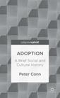 Adoption: A Brief Social and Cultural History (Palgrave Pivot) By P. Conn Cover Image