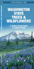 Washington State Trees & Wildflowers: A Folding Pocket Guide to Familiar Plants (Pocket Naturalist Guide) By James Kavanagh, Waterford Press, Raymond Leung (Illustrator) Cover Image