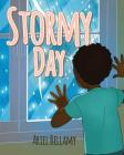 Stormy Day Cover Image