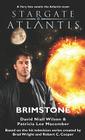 STARGATE ATLANTIS Brimstone (Sga #15) By David Niall Wilson, Patricia Lee Macomber Cover Image