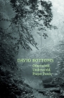 Otherworld, Underworld, Prayer Porch By David Bottoms Cover Image