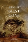Bright Glint Gone By Suzanne Langlois Cover Image