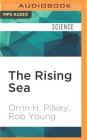 The Rising Sea Cover Image