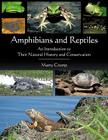 Amphibians and Reptiles: An Introduction to Their Natural History and Conservation By Martha L. Crump, Marty Crump Cover Image