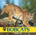 Bobcats (Cats of the Wild) By Henry Randall Cover Image