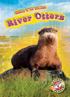 River Otters By Karen Kenney Cover Image