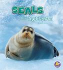 Seals Are Awesome (Polar Animals) By Jaclyn Jaycox Cover Image