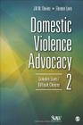 Domestic Violence Advocacy: Complex Lives/Difficult Choices By Jill Davies, Eleanor J. Lyon Cover Image