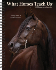 What Horses Teach Us 2025 6.5 X 8.5 Engagement Calendar By Willow Creek Press Cover Image