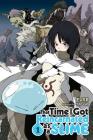 That Time I Got Reincarnated as a Slime, Vol. 1 (light novel) (That Time I Got Reincarnated as a Slime (light novel) #1) By Fuse, Mitz Vah (By (artist)) Cover Image