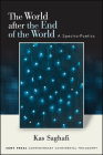 The World After the End of the World: A Spectro-Poetics By Kas Saghafi Cover Image
