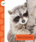 Raccoons (Spot) Cover Image
